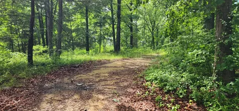 0 Eagle Point Drive Monteagle TN 37356