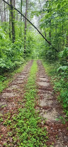 0 Eagle Point Drive Monteagle TN 37356