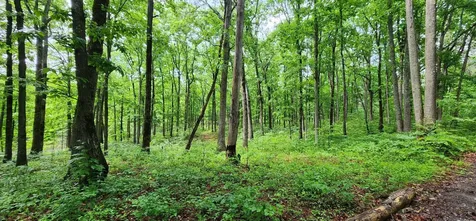 0 Eagle Point Drive Monteagle TN 37356