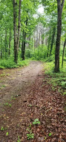0 Eagle Point Drive Monteagle TN 37356