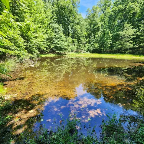 0 Eagle Point Drive Monteagle TN 37356
