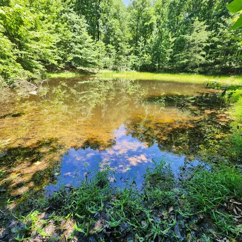 0 Eagle Point Drive Monteagle TN 37356