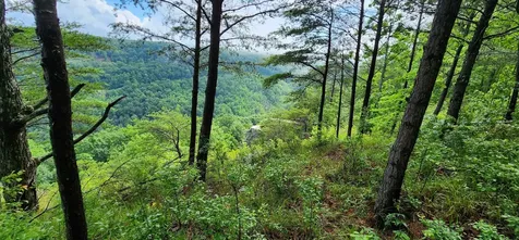 0 Eagle Point Drive Monteagle TN 37356