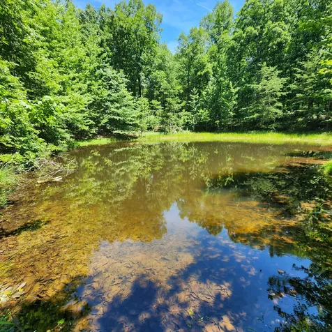 0 Eagle Point Drive Monteagle TN 37356