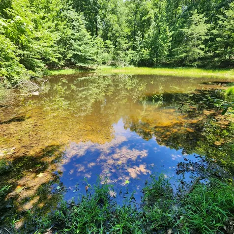 0 Eagle Point Drive Monteagle TN 37356