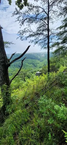 0 Eagle Point Drive Monteagle TN 37356
