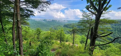 0 Eagle Point Drive Monteagle TN 37356