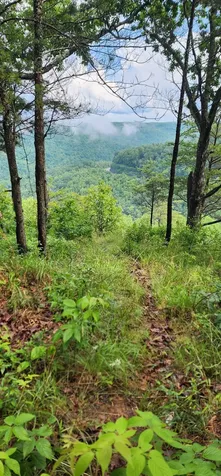 0 Eagle Point Drive Monteagle TN 37356