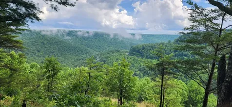 0 Eagle Point Drive Monteagle TN 37356