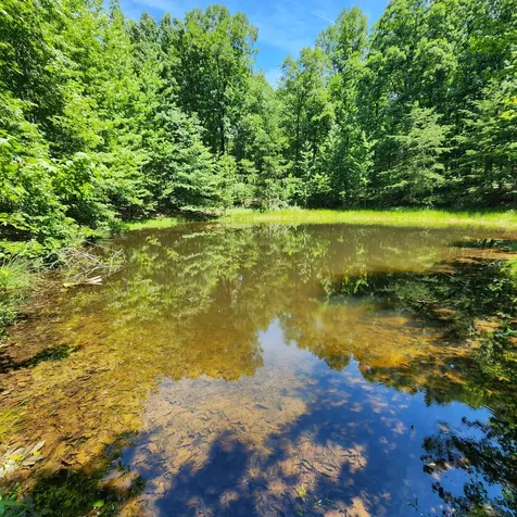 0 Eagle Point Drive Monteagle TN 37356