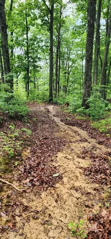0 Eagle Point Drive Monteagle TN 37356