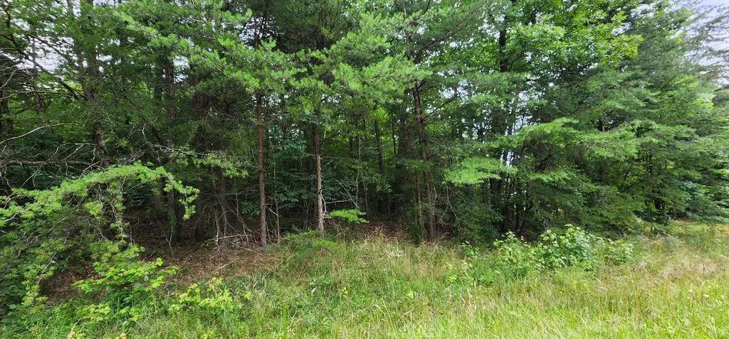 0 Sequatchie Mountain Road Sequatchie TN 37374