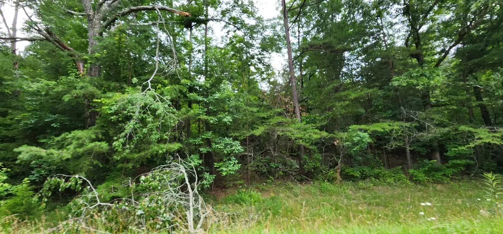 0 Sequatchie Mountain Road Sequatchie TN 37374