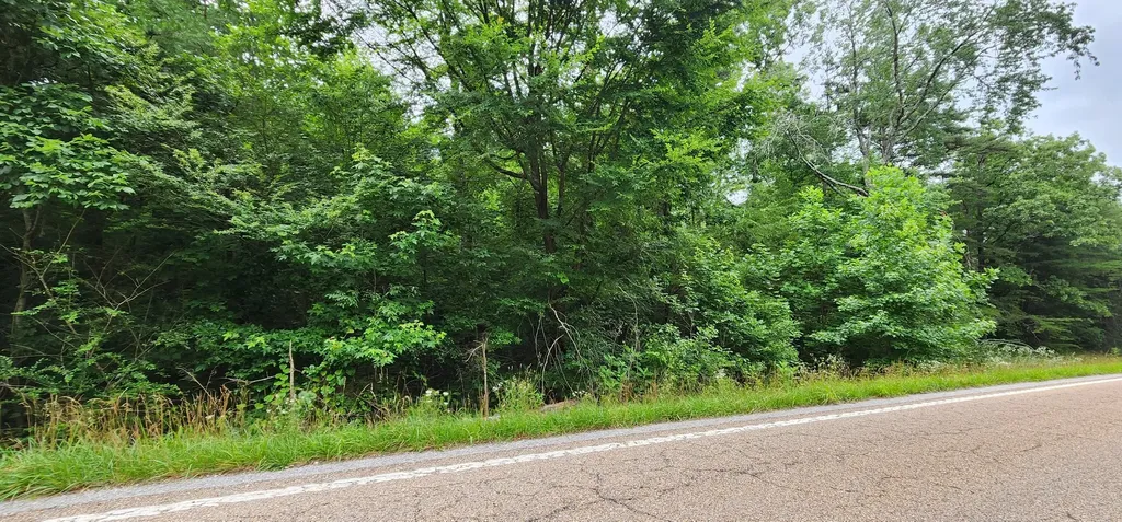 0 Sequatchie Mountain Road Sequatchie TN 37374