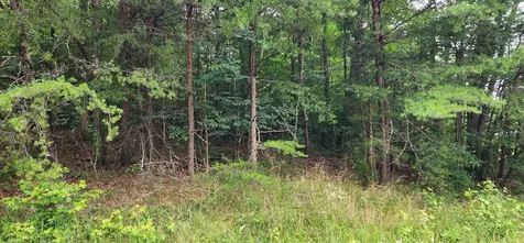 0 Sequatchie Mountain Road Sequatchie TN 37374