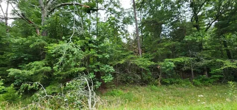 0 Sequatchie Mountain Road Sequatchie TN 37374