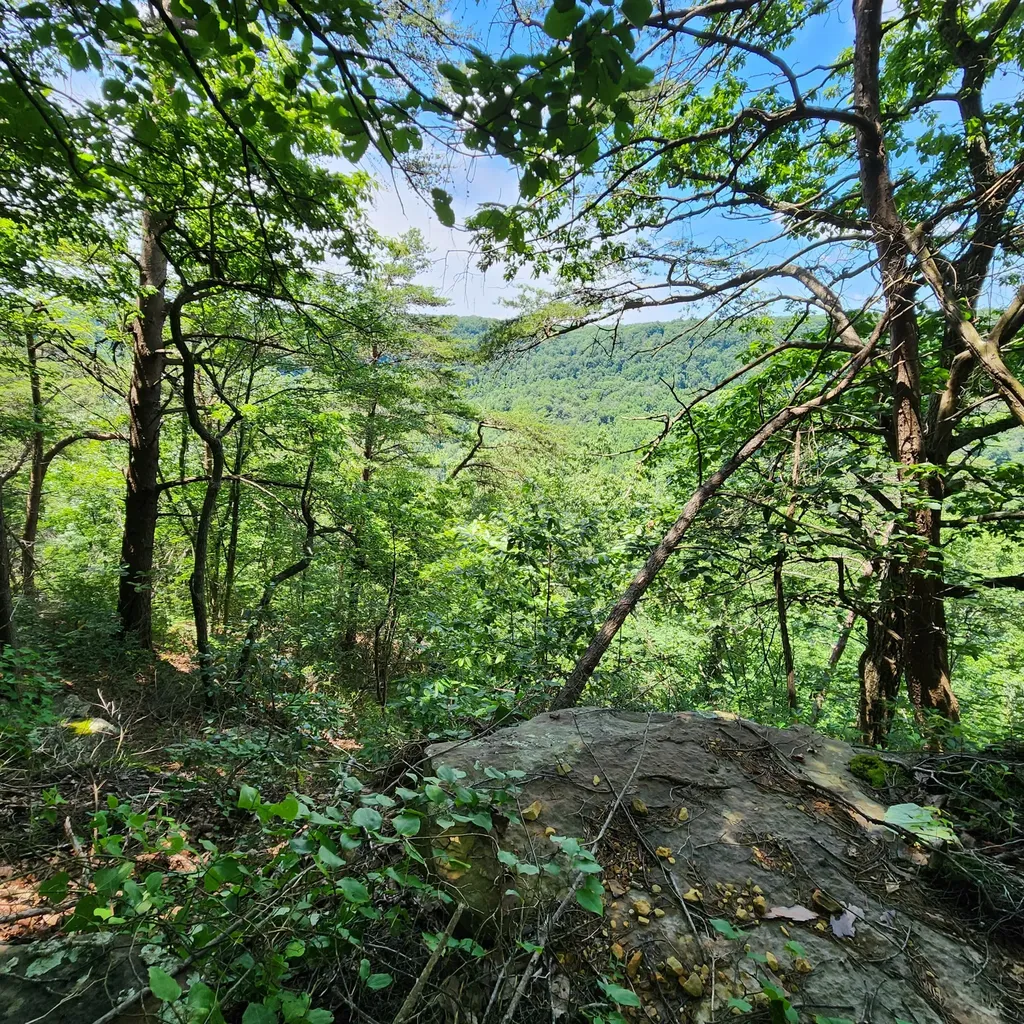 0 Eagle Point Drive Monteagle TN 37356