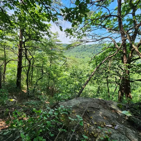 0 Eagle Point Drive Monteagle TN 37356