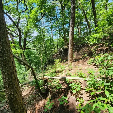 0 Eagle Point Drive Monteagle TN 37356