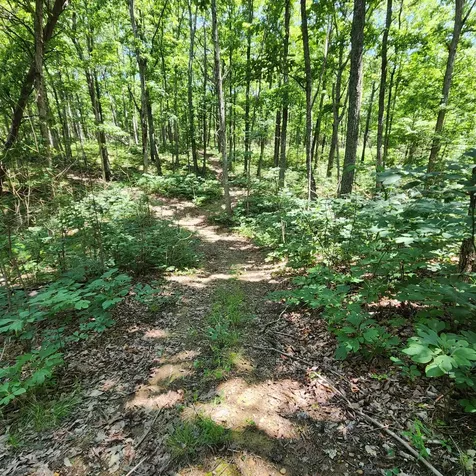 0 Eagle Point Drive Monteagle TN 37356