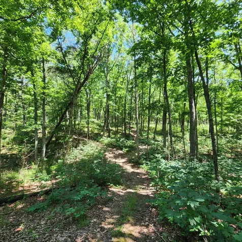 0 Eagle Point Drive Monteagle TN 37356