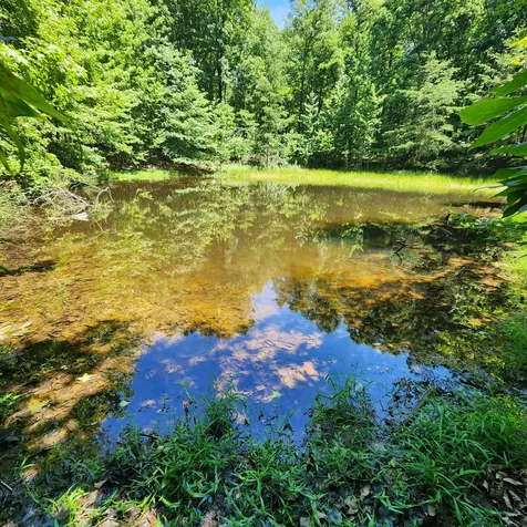 0 Eagle Point Drive Monteagle TN 37356