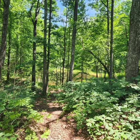 0 Eagle Point Drive Monteagle TN 37356