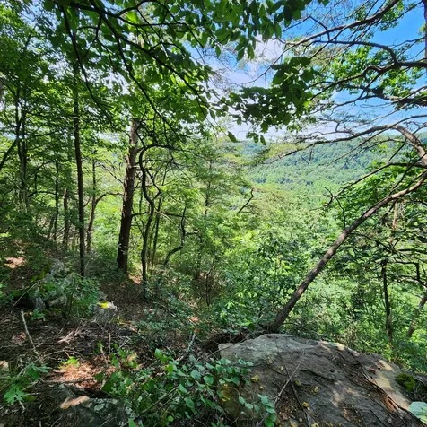 0 Eagle Point Drive Monteagle TN 37356