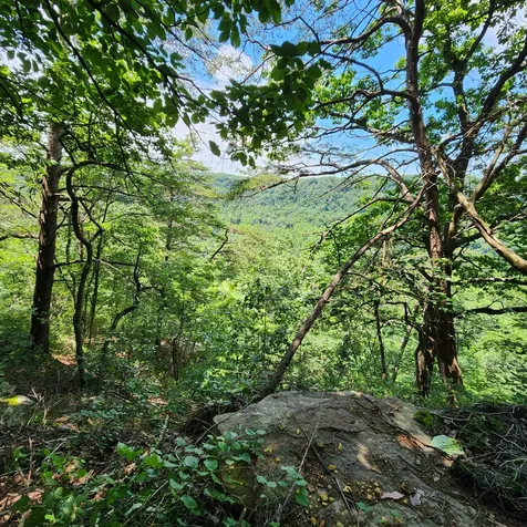 0 Eagle Point Drive Monteagle TN 37356