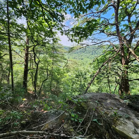 0 Eagle Point Drive Monteagle TN 37356