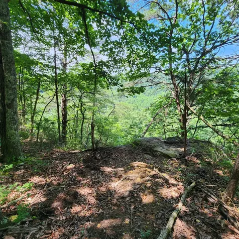 0 Eagle Point Drive Monteagle TN 37356