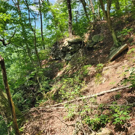 0 Eagle Point Drive Monteagle TN 37356