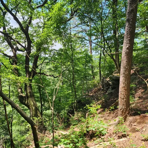 0 Eagle Point Drive Monteagle TN 37356
