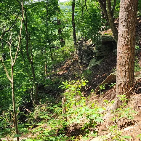 0 Eagle Point Drive Monteagle TN 37356