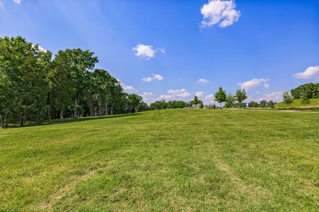 7266 Harlow Drive College Grove TN 37046