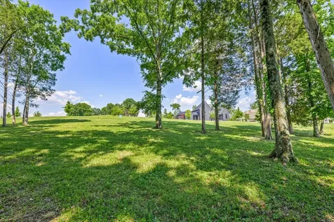 7266 Harlow Drive College Grove TN 37046