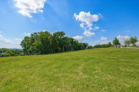 7266 Harlow Drive College Grove TN 37046