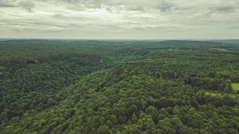 59 Twilight Point Monteagle TN 37356
