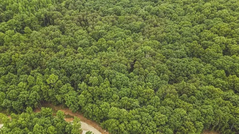 59 Twilight Point Monteagle TN 37356