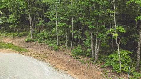 59 Twilight Point Monteagle TN 37356