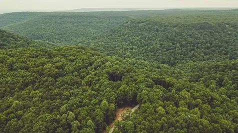 59 Twilight Point Monteagle TN 37356