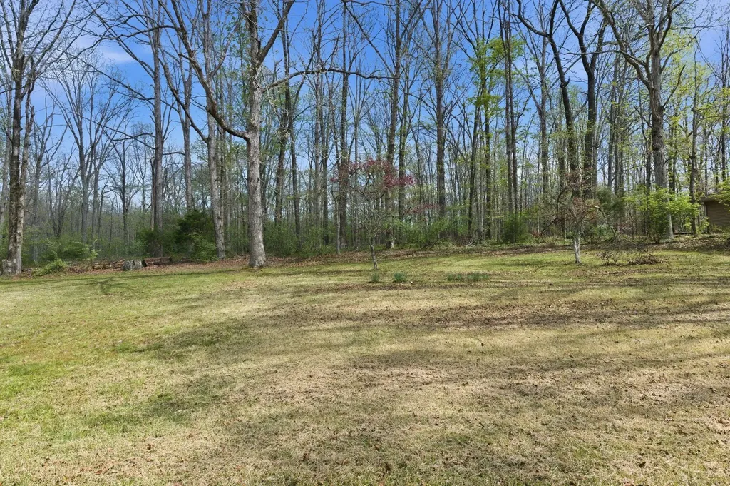 2809 Skyview Drive Centerville TN 37033