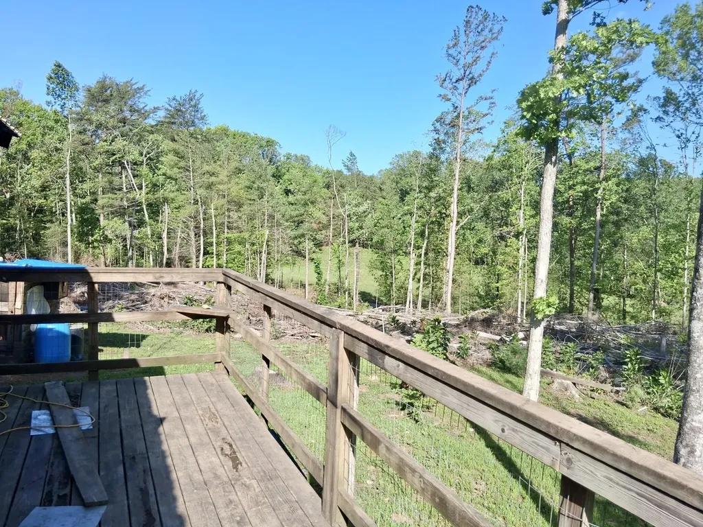 233 Finger Board Road Tellico Plains TN 37385