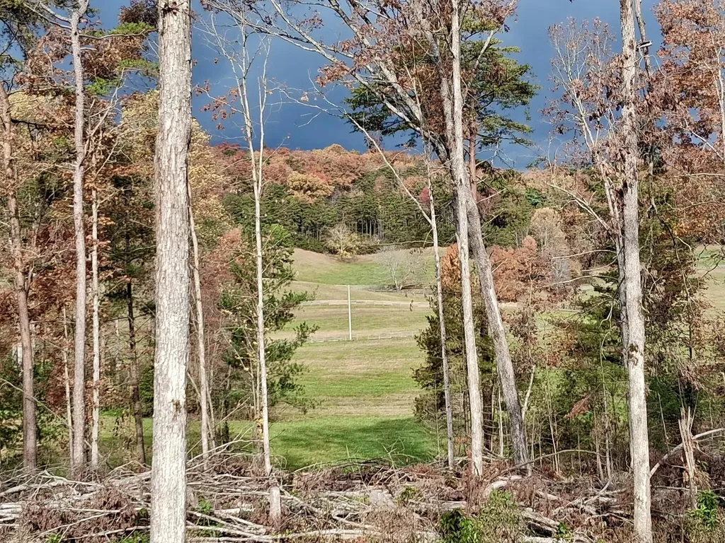233 Finger Board Road Tellico Plains TN 37385