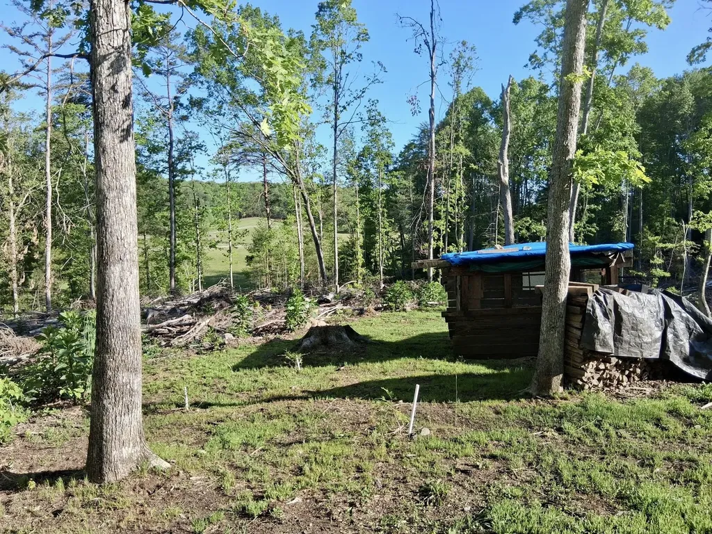 233 Finger Board Road Tellico Plains TN 37385