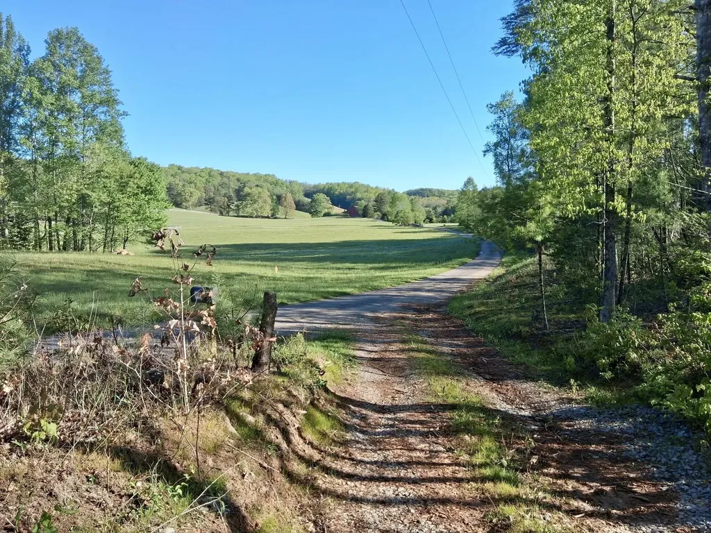 233 Finger Board Road Tellico Plains TN 37385
