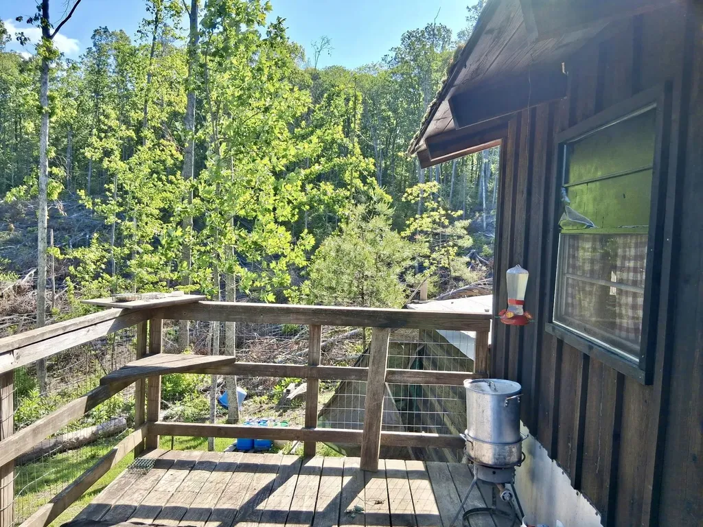 233 Finger Board Road Tellico Plains TN 37385