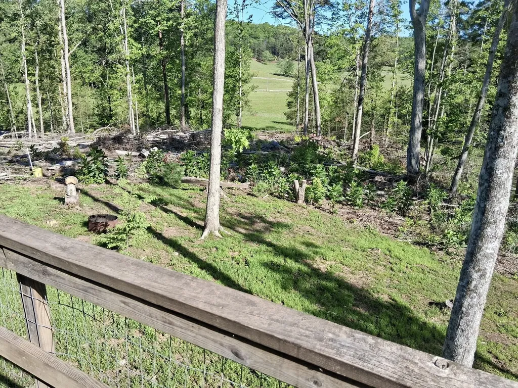 233 Finger Board Road Tellico Plains TN 37385