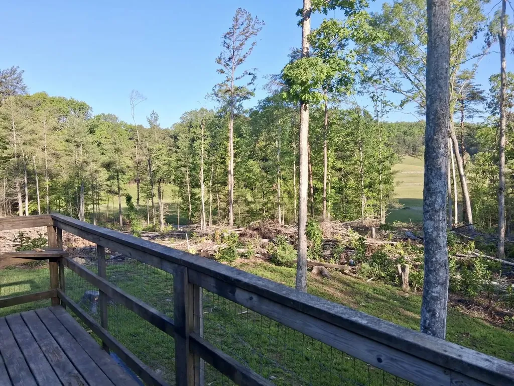 233 Finger Board Road Tellico Plains TN 37385