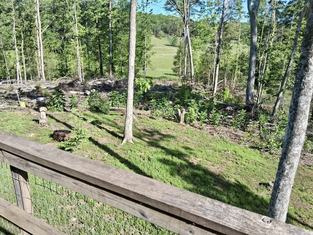 233 Finger Board Road Tellico Plains TN 37385